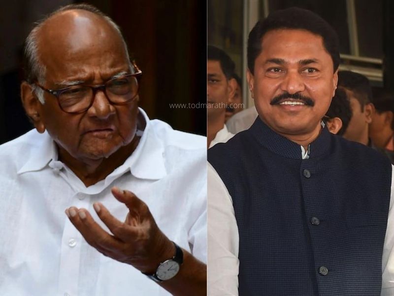 sharad pawar and nana patole - TOD Marathi