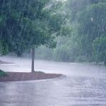 heavy rain - TOD Marathi