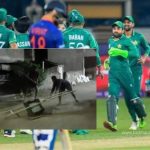 INDvsPAK- sangli - tv - tod marathi