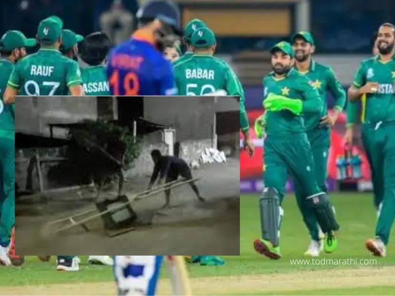 INDvsPAK- sangli - tv - tod marathi