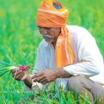 Farmer - Marathwada - TOD Marathi