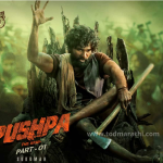 pushpa movei - allu arjun movie - tod marathi