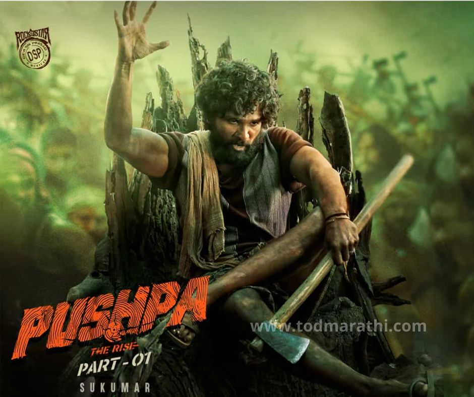 pushpa movei - allu arjun movie - tod marathi